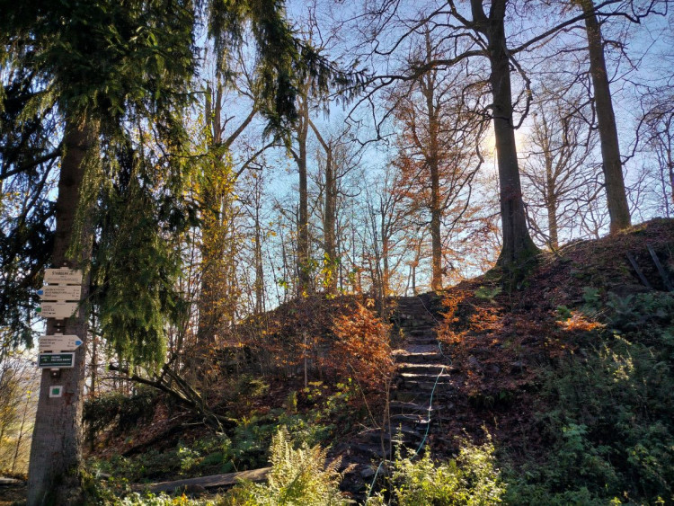 Zřícenina hradu Štamberk a kamenné moře