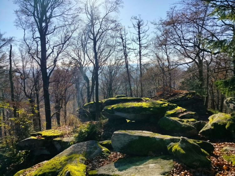 Zřícenina hradu Štamberk a kamenné moře