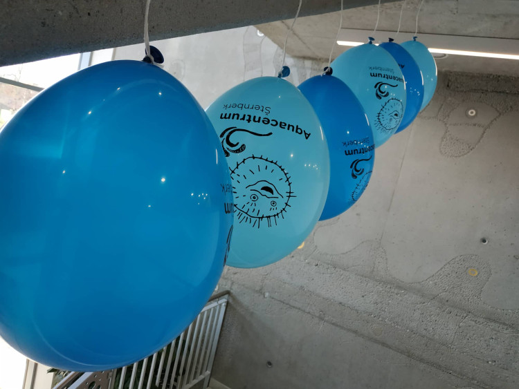 FOTOGALERIE: Den otevřených dveří v aquacentru ve Šternberku