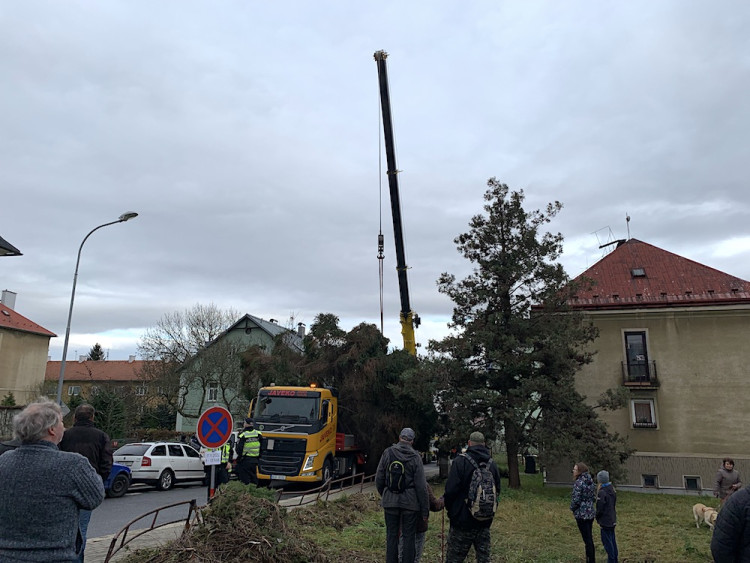 Liberecký vánoční strom