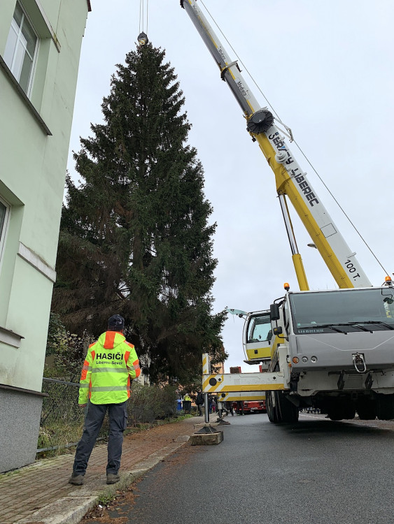 Liberecký vánoční strom