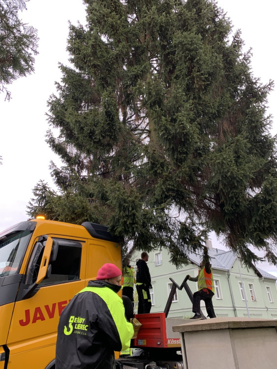 Liberecký vánoční strom