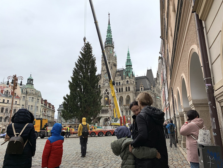 Liberecký vánoční strom