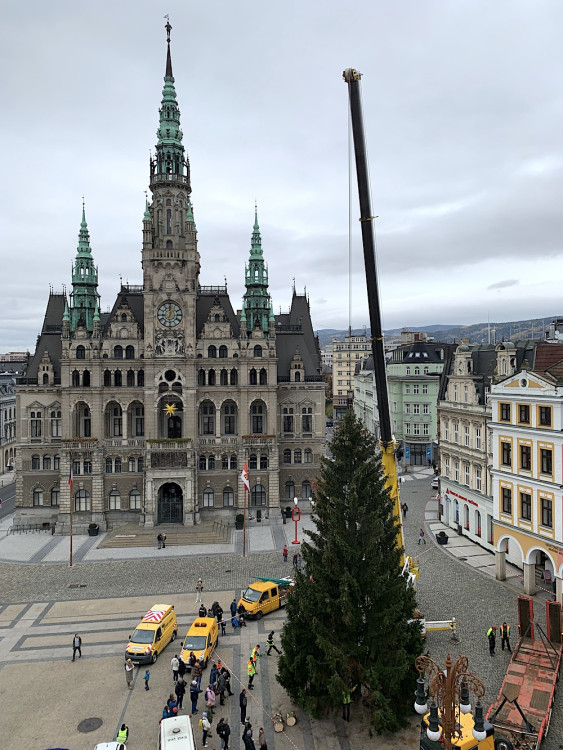 Liberecký vánoční strom