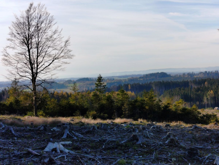 Javořice, Studánka Páně a Velký Pařezitý rybník