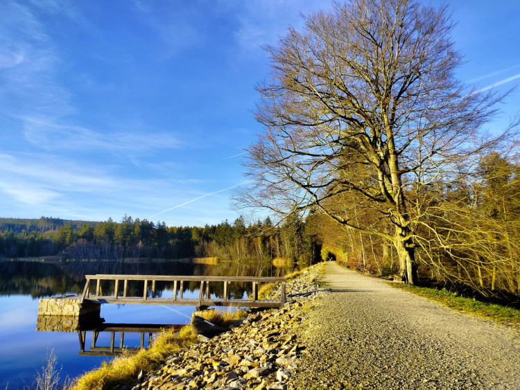 Javořice, Studánka Páně a Velký Pařezitý rybník