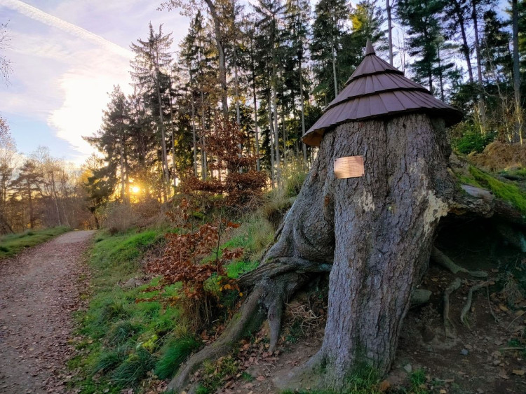 Javořice, Studánka Páně a Velký Pařezitý rybník