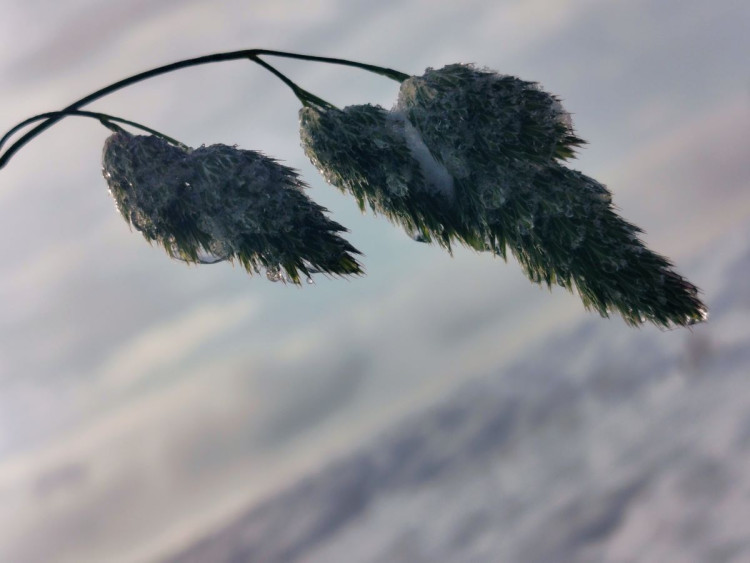 Kouzlo zimní krajiny