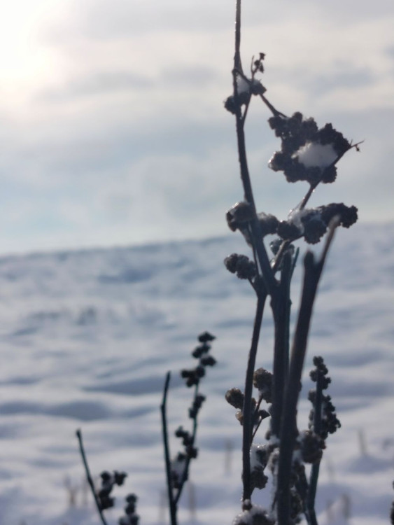 Kouzlo zimní krajiny