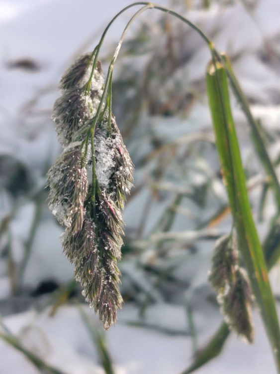 Kouzlo zimní krajiny