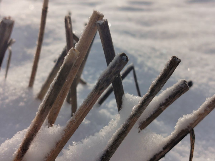 Kouzlo zimní krajiny