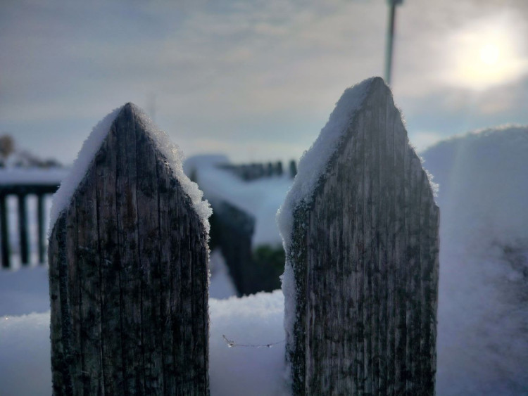 Kouzlo zimní krajiny