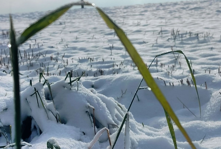 Kouzlo zimní krajiny
