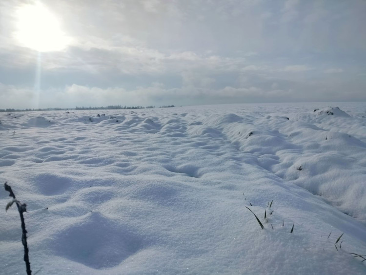 Kouzlo zimní krajiny