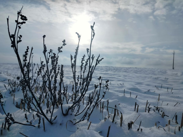Kouzlo zimní krajiny