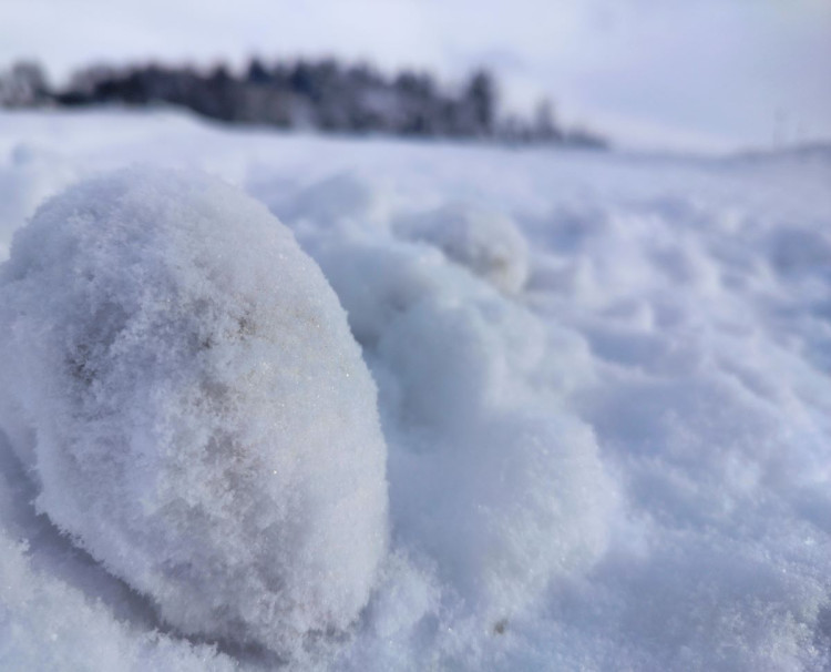 Kouzlo zimní krajiny