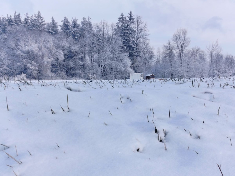 Kouzlo zimní krajiny
