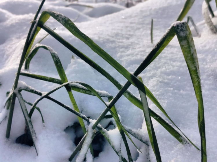 Kouzlo zimní krajiny