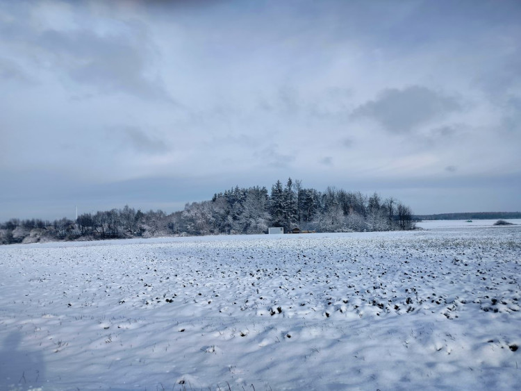 Kouzlo zimní krajiny