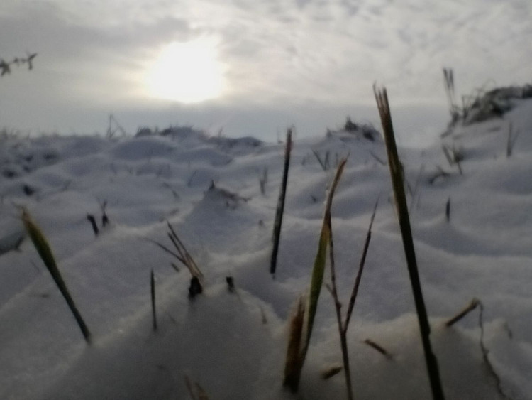 Kouzlo zimní krajiny