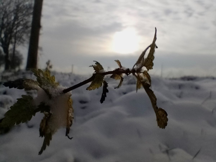 Kouzlo zimní krajiny