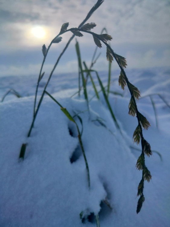 Kouzlo zimní krajiny