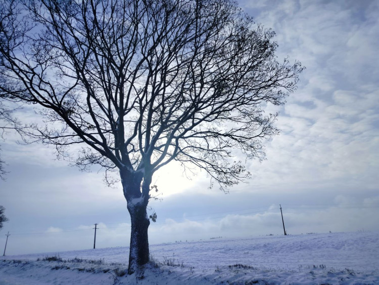 Kouzlo zimní krajiny