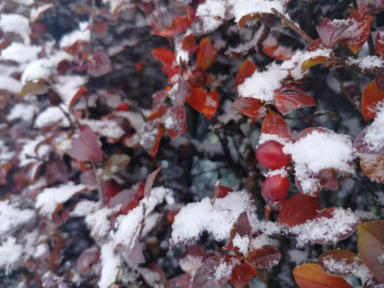 Kouzlo zimní krajiny