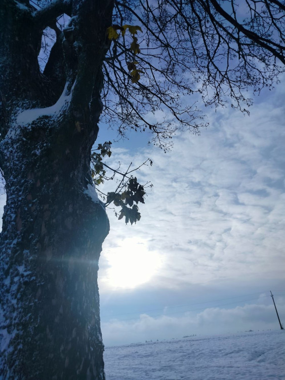 Kouzlo zimní krajiny