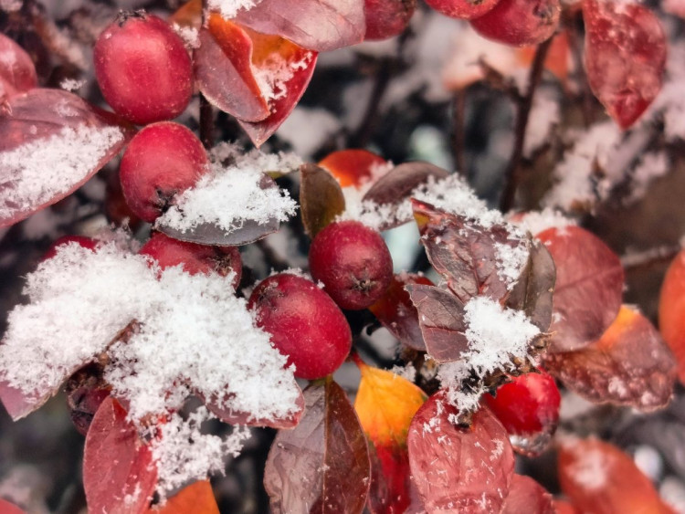 Kouzlo zimní krajiny