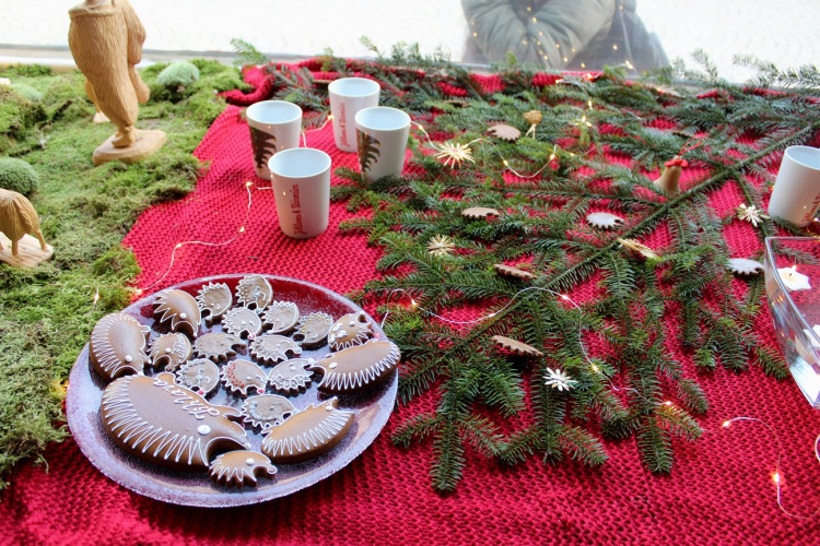 Nové TIC v Jihlavě