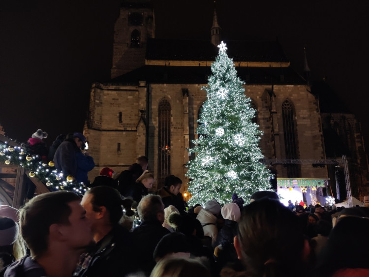 FOTOGALERIE: Vánoční strom a vánoční tramvaj 2022