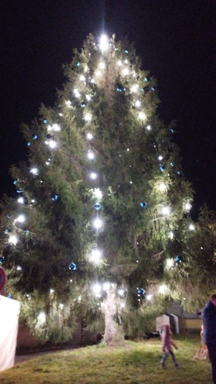 Kostelec u Jihlavy, foto: Romana Třísková 