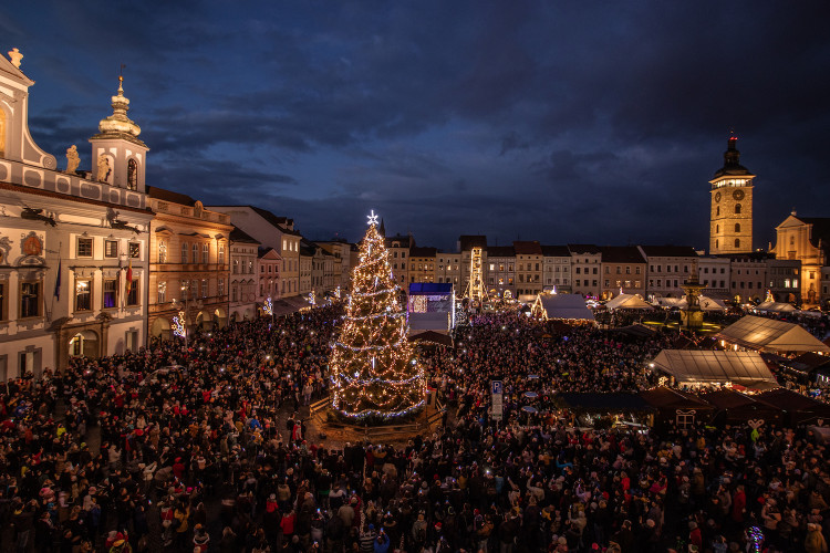 Vánoční strom v Českých Budějovicích. Autor: Zuzana Reifová
