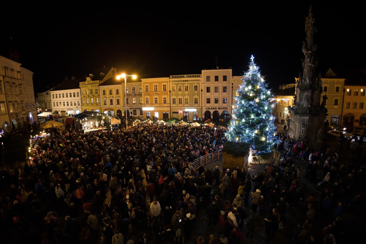 Vánoční strom v Jindřichově Hradci. Autor: Michal Žoudlík