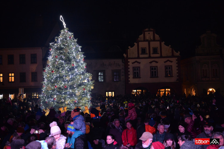 Vánoční strom v Táboře. Autor: Zdeněk Prchlík