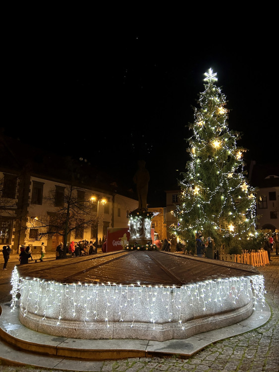 Vánoční strom v Prachaticích. Autor: Město Prachatice