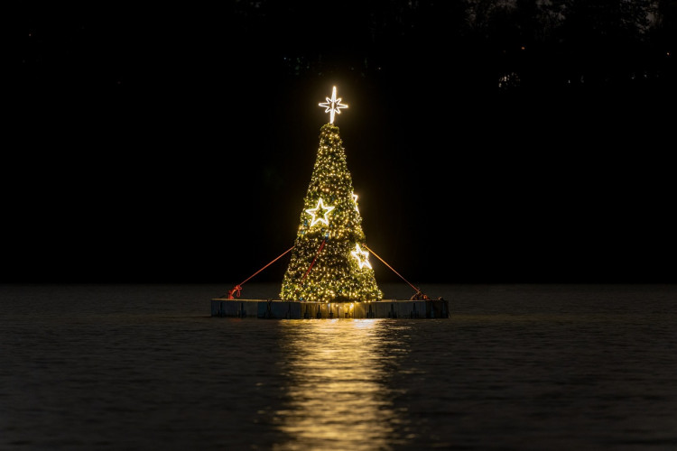 MO Plzeň 3, plující strom na Borské přehradě, foto: MO Plzeň 3