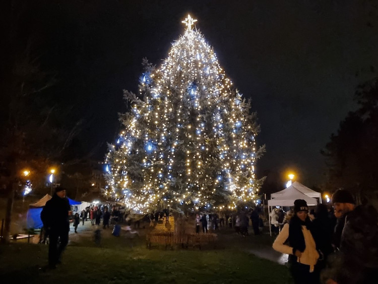 MO Plzeň 1, parku U Bazénu na Lochotíně, foto: MO Plzeň 1