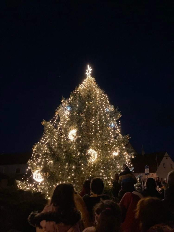 MO Plzeň 9 – Malesice, foto: MO Plzeň 9