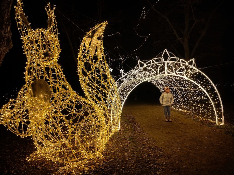 Vánoční výzdoba v Třebíči