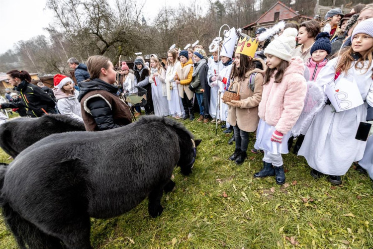Rekord v jihlavské zoologické zahradě