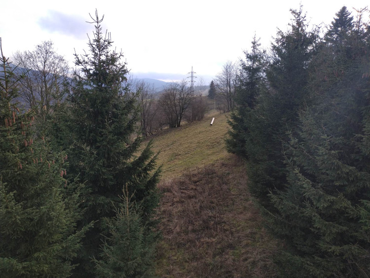 FOTOGALERIE: První lyžování v Branné