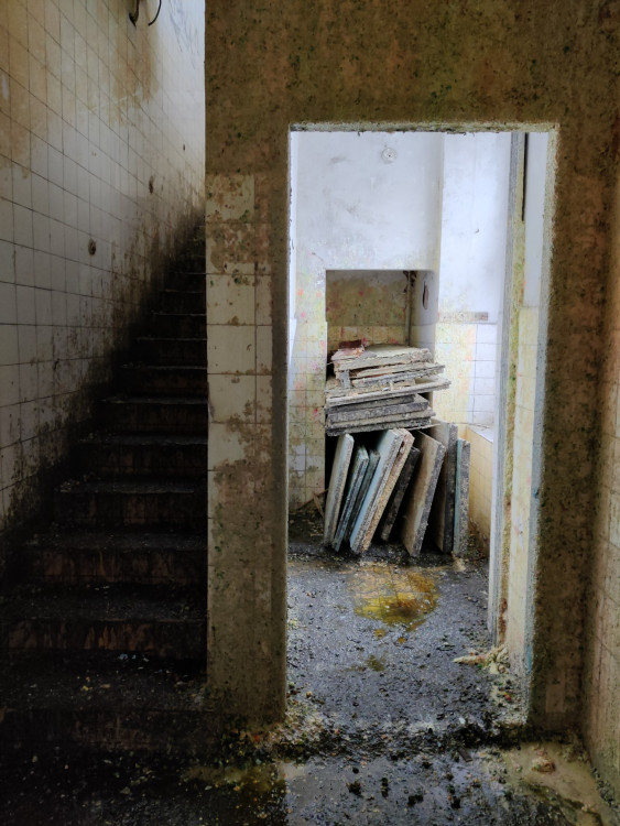 FOTOGALERIE: Zchátralé městské lázně v centru Plzně