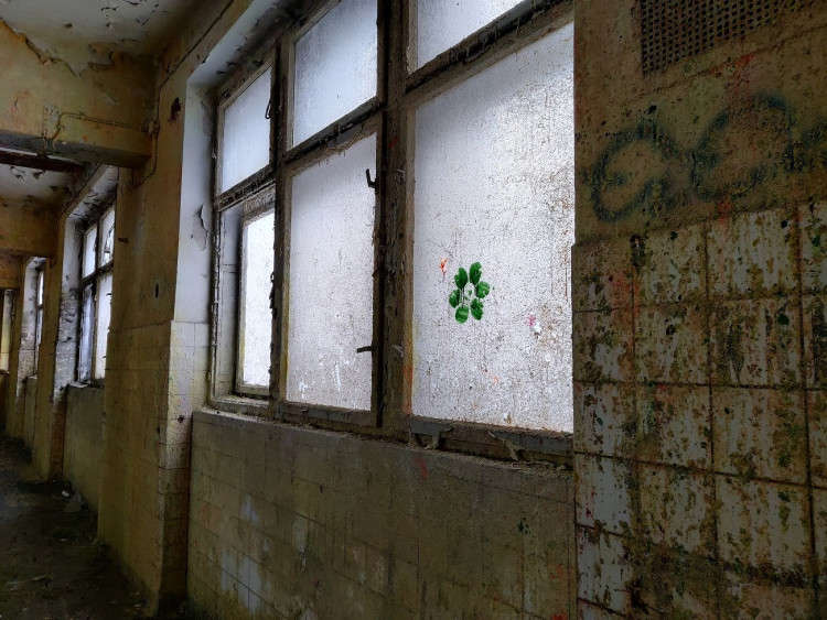 FOTOGALERIE: Zchátralé městské lázně v centru Plzně