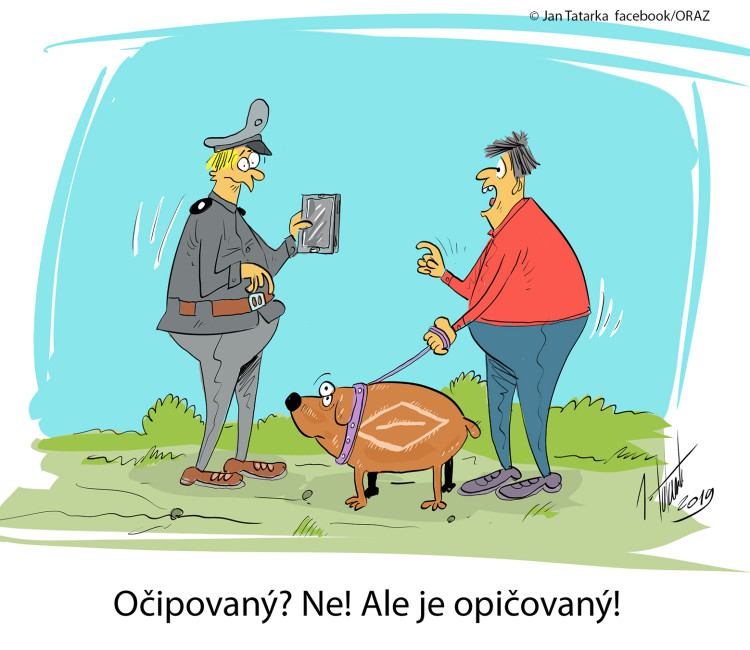 VTIPY: První v prosinci středa, humoru a legrace je třeba