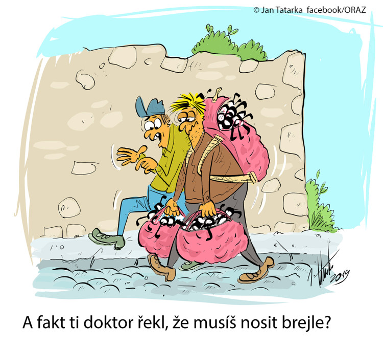 VTIPY: První v prosinci středa, humoru a legrace je třeba