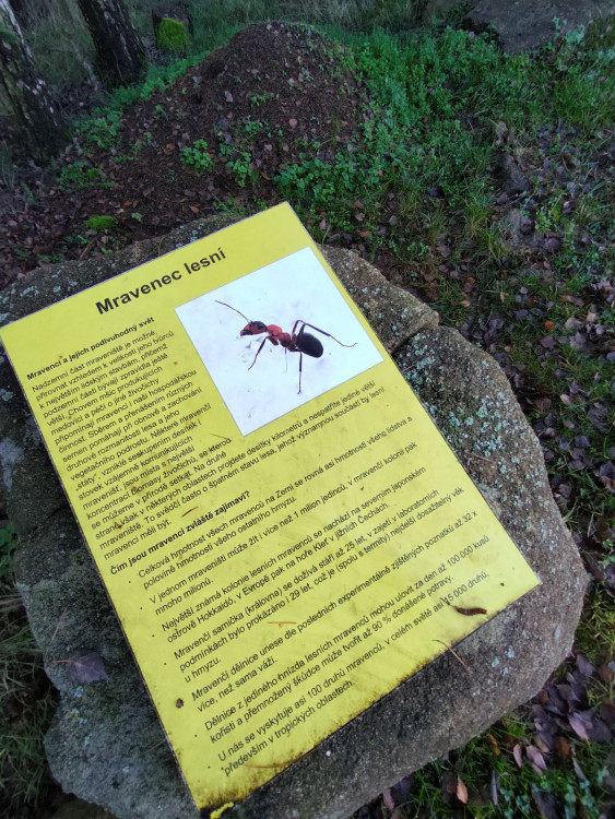 Křížová cesta u Mysliboře