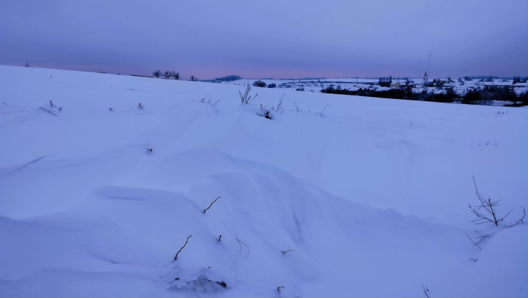 Zimní krajina u Pavlova