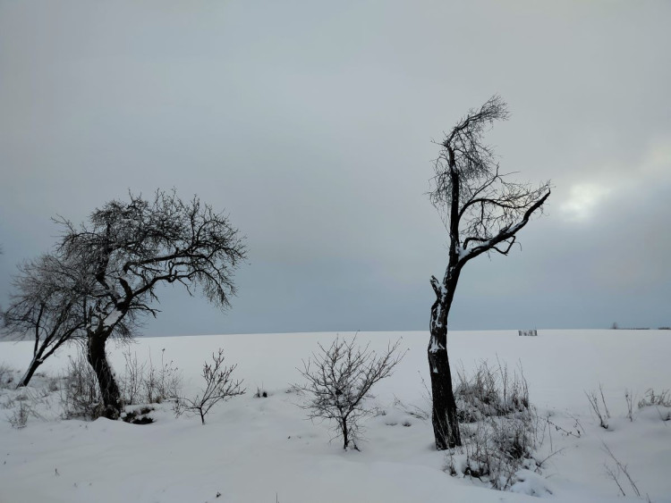 Zimní krajina u Pavlova